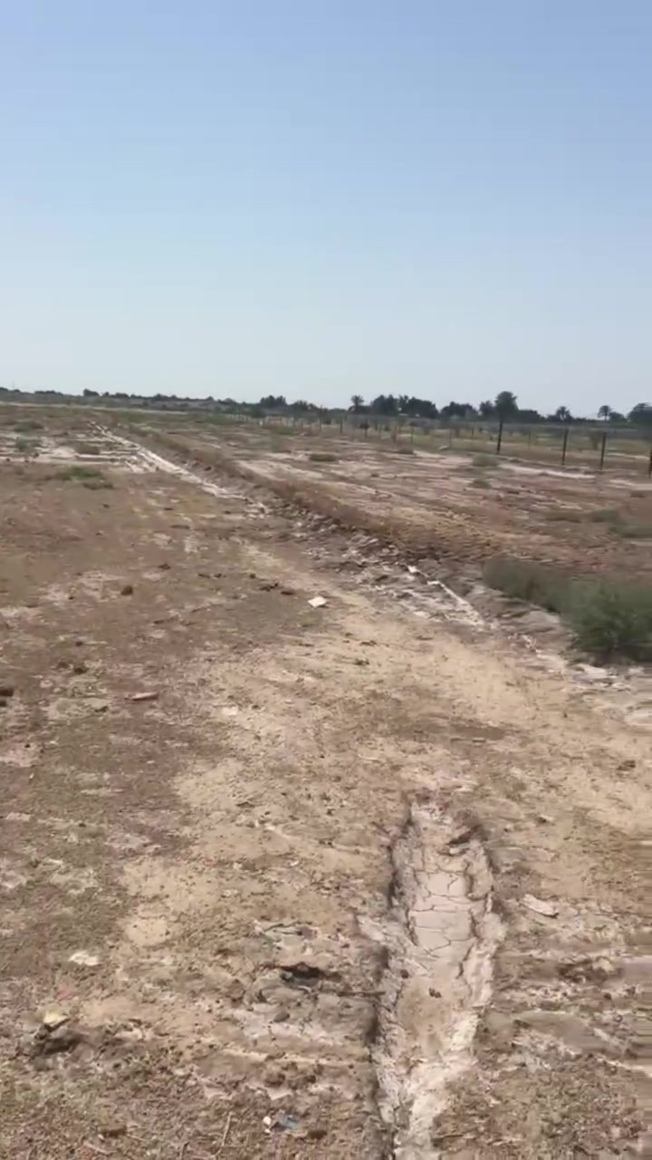 أرض زراعيه • ٣ دوانم • ساده الإخوان سعيدان