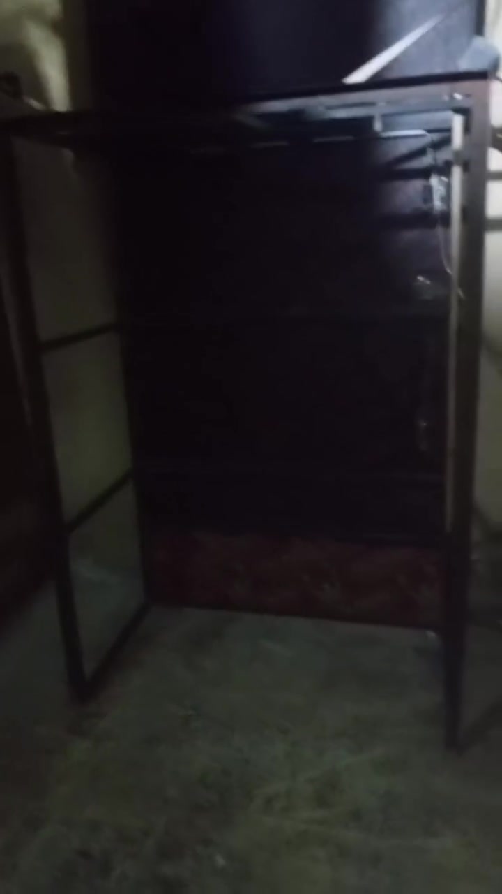 قمريه ستوته • مفصلها • الزبير