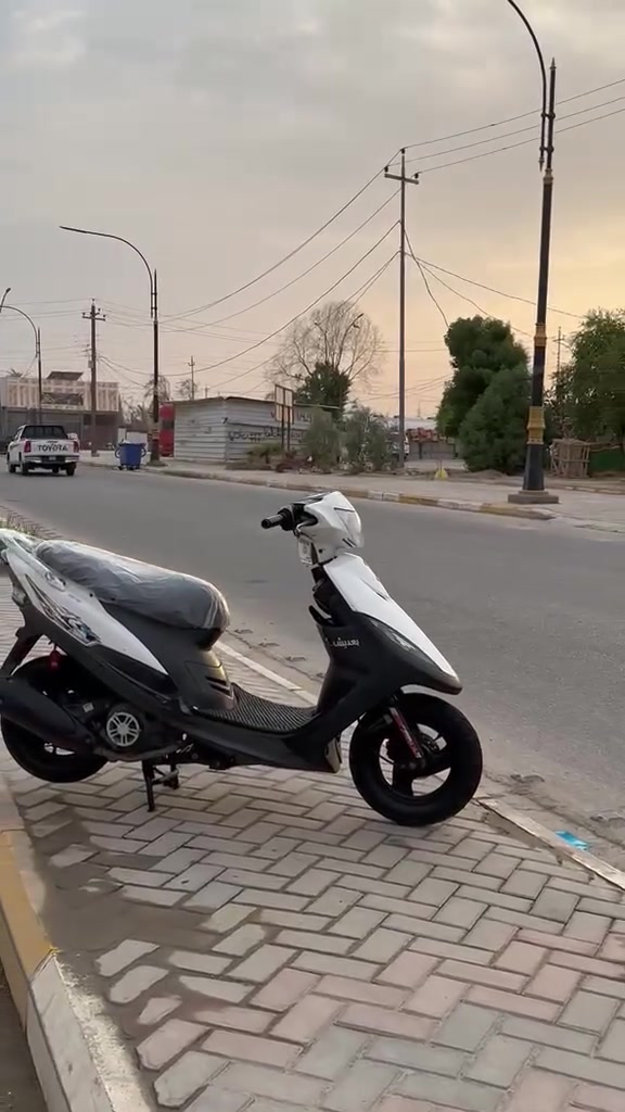 ماكس عدله • زنون • مامفتوح