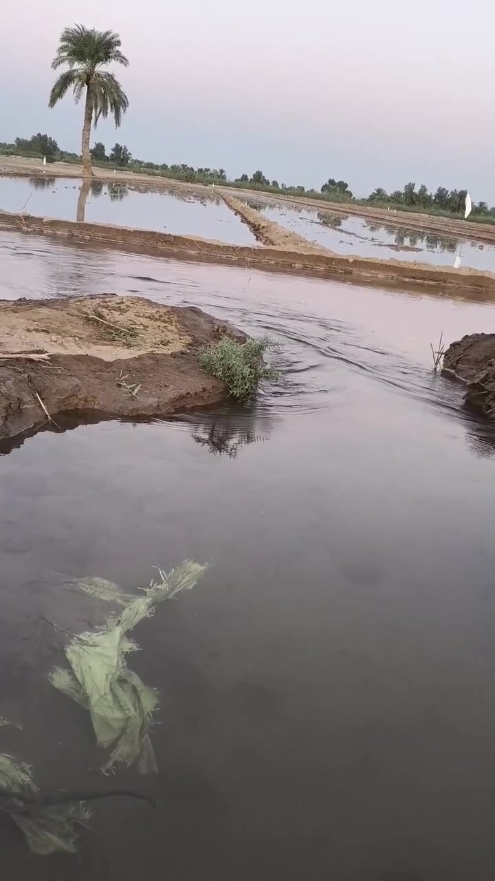 ارض زراعيه للايجار شتوي30دونم
جاهزه خير من الله
واسط قضاء الصويره
للاستفسار***********
