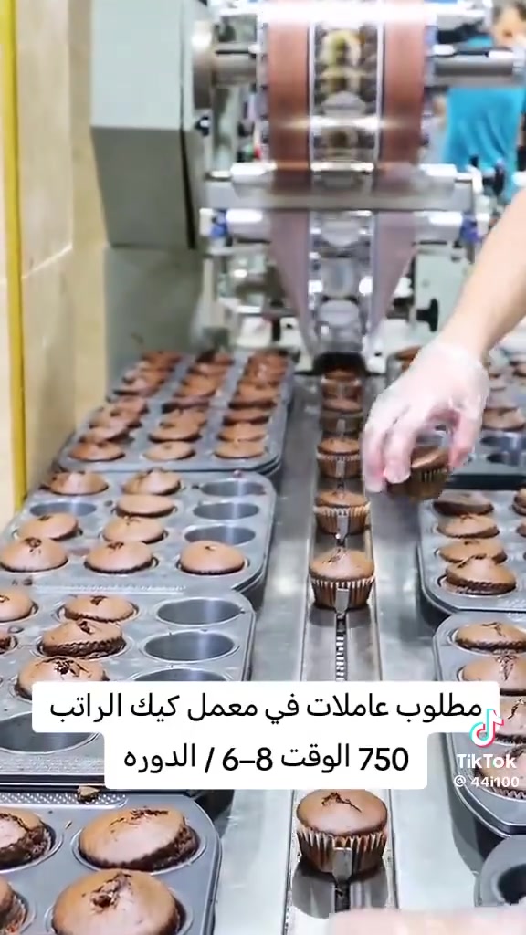 للاستفسار مراسله *********** 💗
