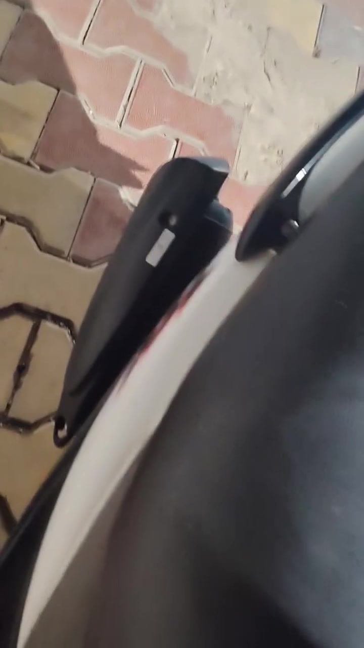 ماكس عدله • ٥٥ • معدل فول