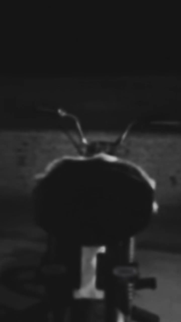 السلام عليكم دراجه كاعده نصبه وغراض تخبل  الدراجه كلك كلك بيهه بس رقم شاصي  مكينه ارشه 2024ولشاصي نامه ربع الدراجه مثل متشوفون مكينه تخبل شلعه ومعدل وفصله 
مكان الدراجه بابل محاويل 
السعر 375وبيهه مجال بسيط 
رقمي ***********
