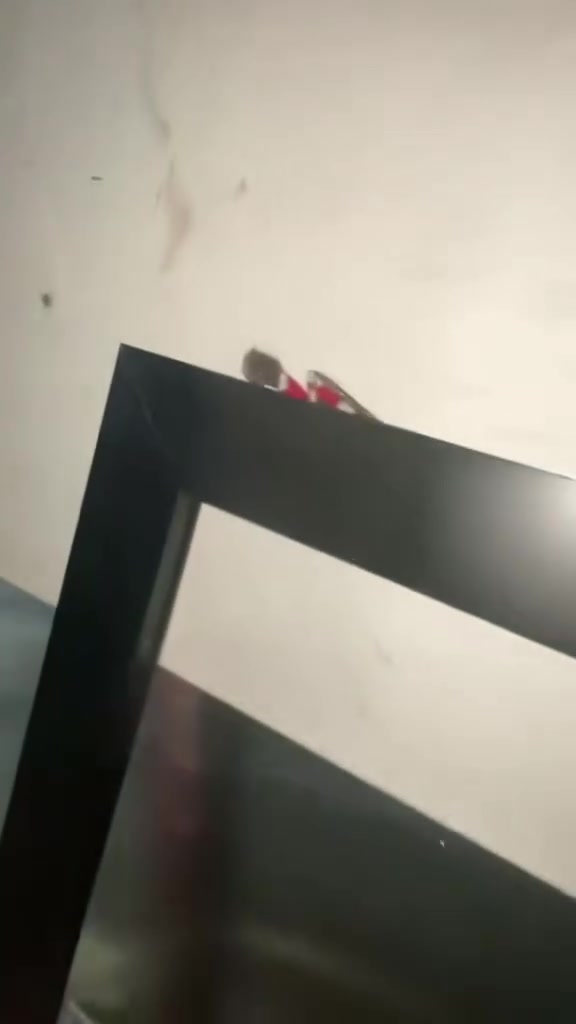 🔥 شوفوا فخامة الشغل لما تكون التفاصيل محسوبة صح 🔥

تم بحمد الله إنجاز وتركيب شباك ألمنيوم موديل عصري وأنيق 🖤

▪️ ألمنيوم مقطع تركي
▪️ لون أسود فاخر
▪️ جام مضلل 6 ملم
▪️ فردتين للشباك
▪️ إضافة فردة خاصة للمبردة
▪️ تنفيذ وتركيب حسب القياس وبأدق التفاصيل

✨ شغل نظيف، تشطيب راقي، ومظهر يغيّر شكل المكان بالكامل.
إذا تريد شغل ألمنيوم مرتب وبمواصفات تختارها أنت، **القلعة للحدادة والألمنيوم بخدمتك** 💪🔥

📍 بغداد – الشعب – قرب محكمة الشعب

📞 اتصال وواتساب: ***********
📱 واتساب فقط: ***********

🏰 القلعة للحدادة والألمنيوم
**شغلنا عنوانه الجودة… وتنفيذنا يحچي عنّا.**

#القلعة_للحدادة_والالمنيوم #المنيوم #شبابيك_المنيوم #شباك_المنيوم #المنيوم_تركي #جام_مضلل #شبابيك_عصرية #المنيوم_بغداد #شبابيك_بغداد #ابواب_وشبابيك #بغداد #الشعب #اكسبلور #ترند #العراق
