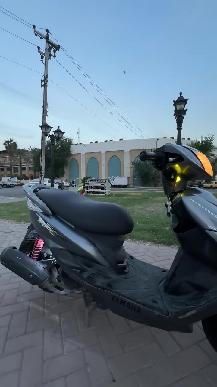 ثعلب • نظيفة • رياضية