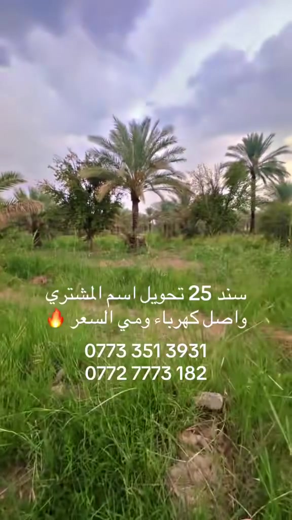 أرض • ٢٥م٢
