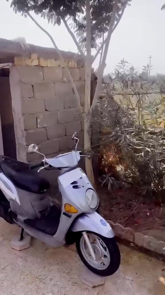 فله • سوزوكي • ٢٠٠٩