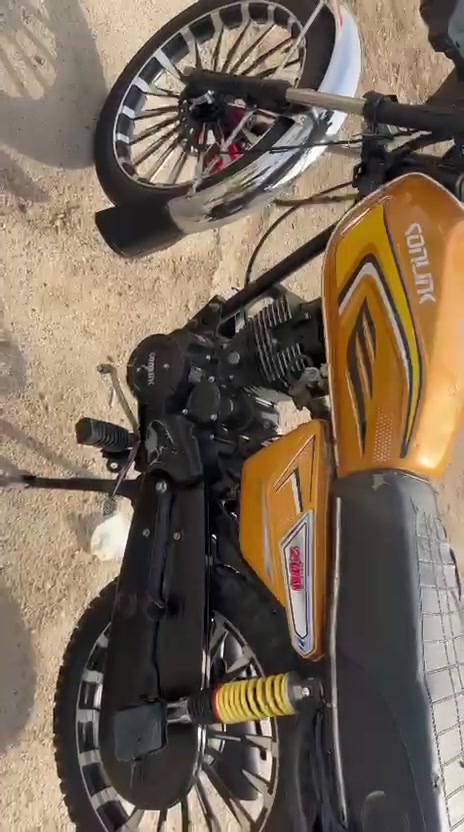 سونك • موديل ٢٤ • مكفوله