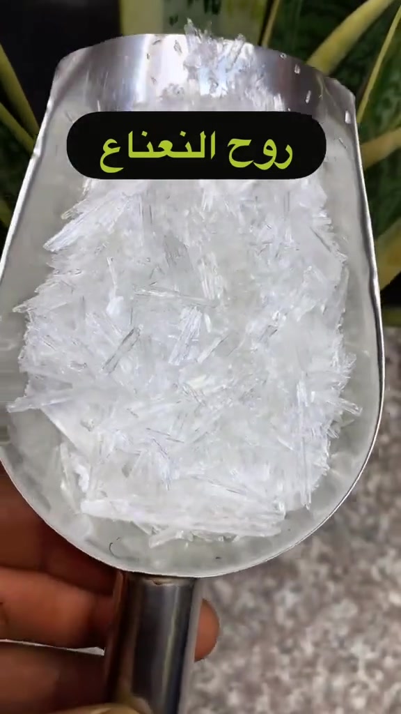 روح النعناع • طبيعي • جملة ومفرد