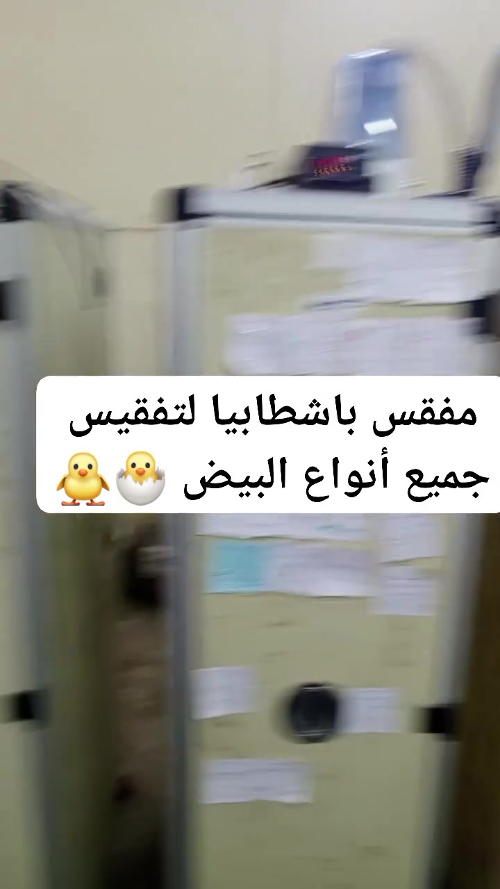 تفقيس وجبات • مفقس باشطابيا • الموصل