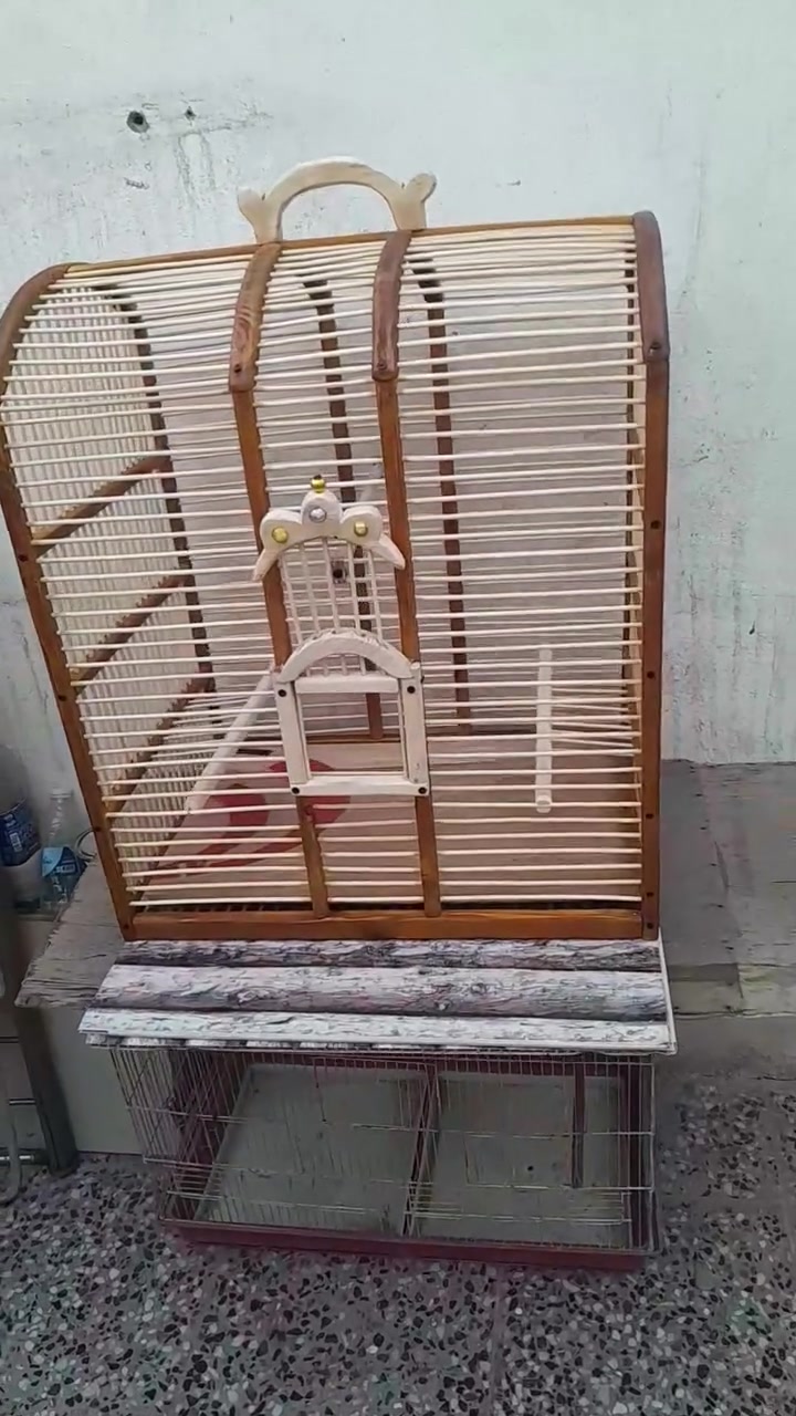 للبيع قفص كبير ماشاء الله شغل درجة اولى كله براغي مو كبس قياس وجه ٦٠ وارتفاع ٧٠ ونزال ٤٠ بيه مكان مأكليات وجرارة تنظيف مكاني بغداد المعامل رقمي ***********
