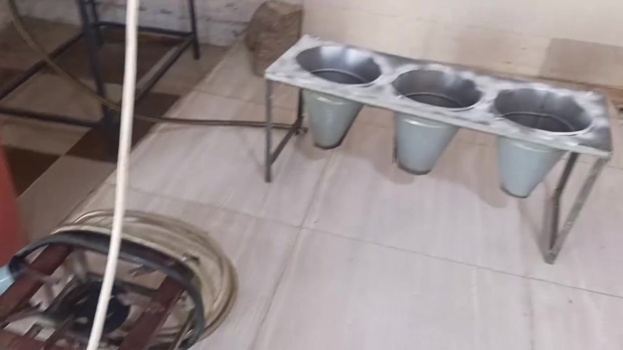 سڵاوی خوای گەورەتان لێبێت  ئەم ئەشیانە بۆفرۆشتن زۆر پاکو بێعەیبن  سعری  275هەزار  لەسلێمانی   ژم  ***********
