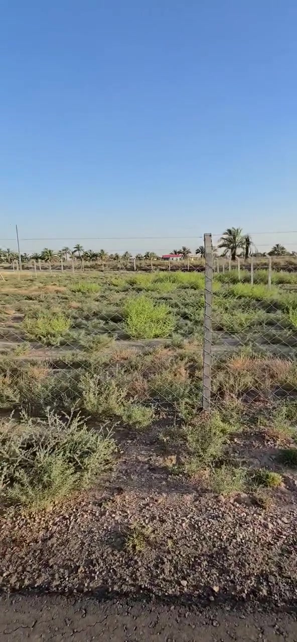 1000 م للبيع 
طابو زراعي سند ٢٥ 
حله / قرب مزار العلويه شريفه ع 
***********
***********
