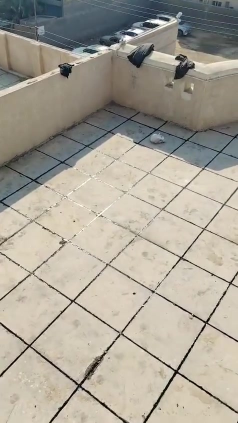 📣 تطبيق شامل لكل أعمال السطح!
📍 الناصرية | ☎ للاستفسار: ***********

🔨 شغلنا يشمل:
✔ كَرَسْتَه
✔ عمل على المتر (تنظيف، فلانكوت، زفت، بناء، مزيج، ماستك، آيلون)
🛠 ضمان فحص العمل من مهندس مختص
📦 متوفر شتايكر السماوة
💵 أسعارنا مناسبة وتناسب الجميع!

📩 للتواصل: رسالة أو اتصال
🕌 والتوفيق من الله عز وجل
