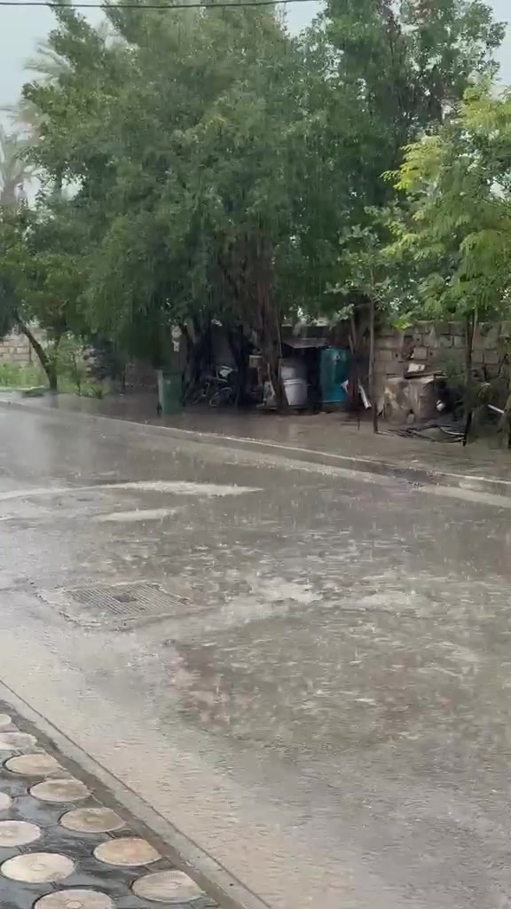 اليوسفية بغداد • ١٥٥م • مؤثثة بالكامل
