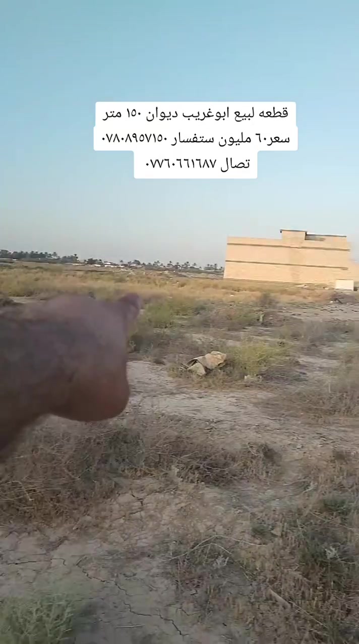 لا توجد تفاصيل
