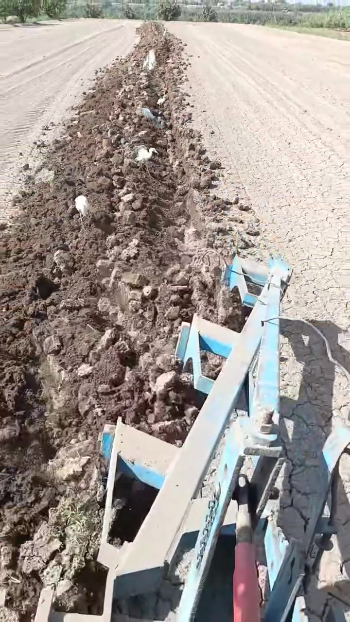 السلام عليكم
للبيع فدان  حجم 12
نضيف كلش 
ما ناقصة اي شي 

مكاني بغداد المدائن 
للاستفسار ***********
