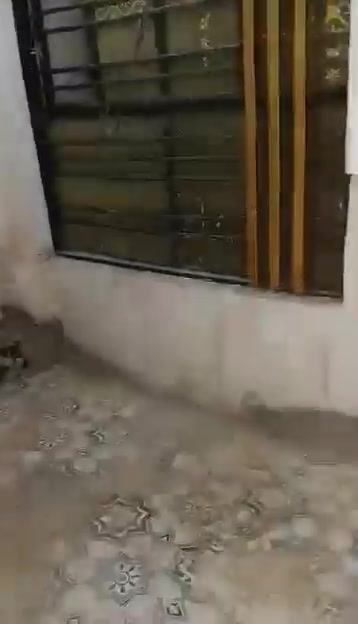 بيت مساحته ١٠٠ متر مربعه حله نادر الثالثه قرب سكله وليد بي غرفه ومطبخ وحمامات كلدور واستقبال ملبوخ وسيراميك وصحيات داخل وخارج وصاله بيت جديد بنا طابوك الشراي يتفضل *********** خاص
