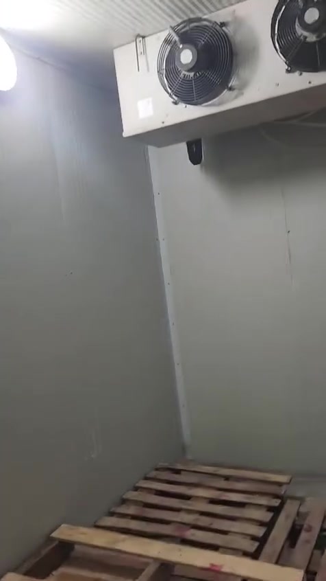 السلام عليكم غرفه تجميد ٧ نص طن فول شغال للبيع بشرط بسعر مناسب تاخذ فحص كامل للستفسار خاص او اتصل ‏‪***********‬‏
