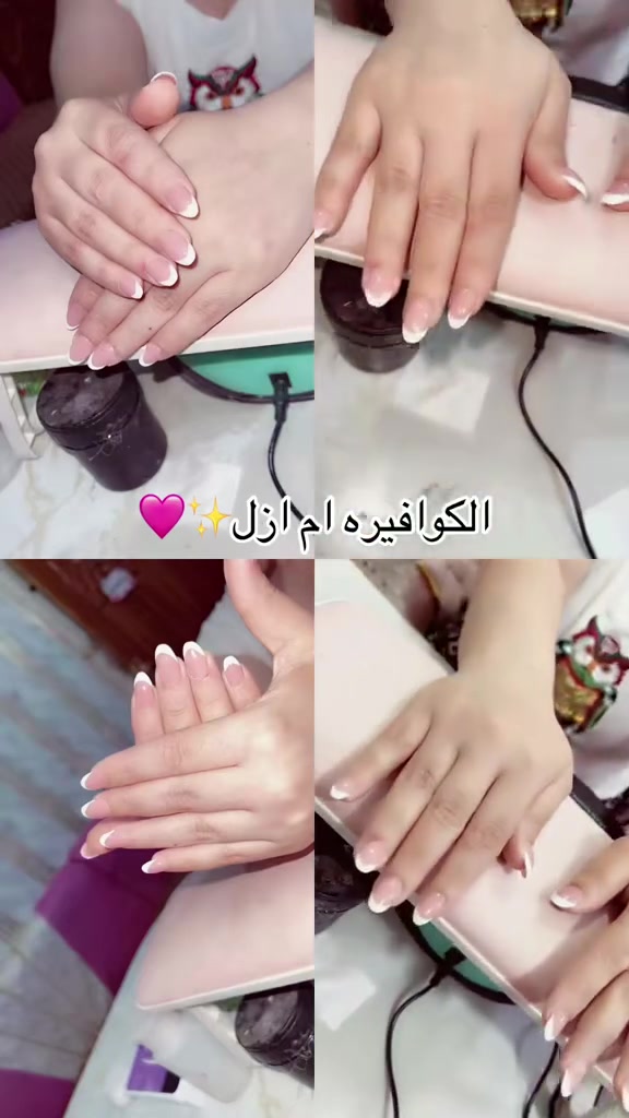 عروض اليوم • ١١ص–٩م • زعفرانيه المشجر
