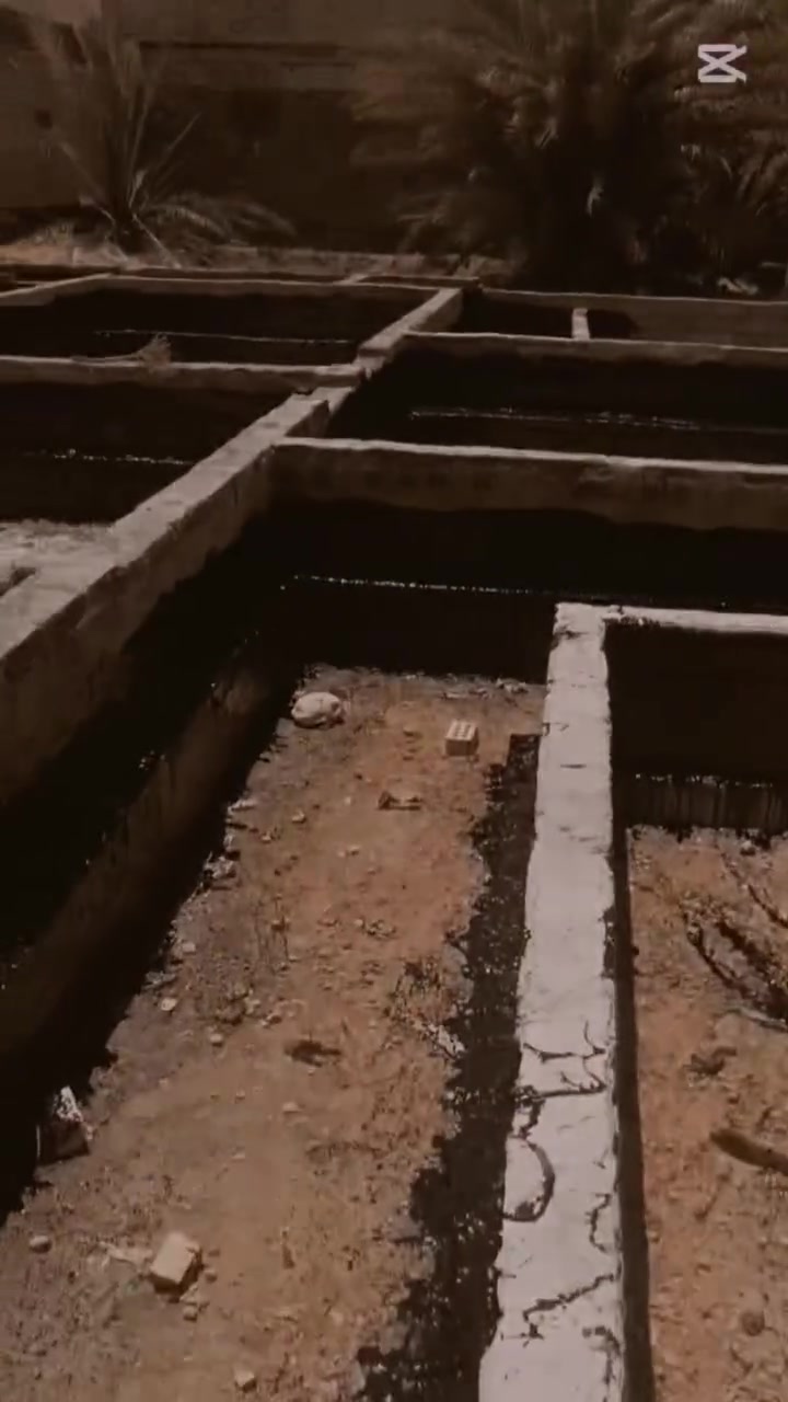 سلام عليكم مستعدون لتجير السطوح والبيوت والدوائر الدولة بسعر مناسب وشغل درجة اولى اتصال على هذه الرقم *********** موجود وتساب اني بل خدمه
