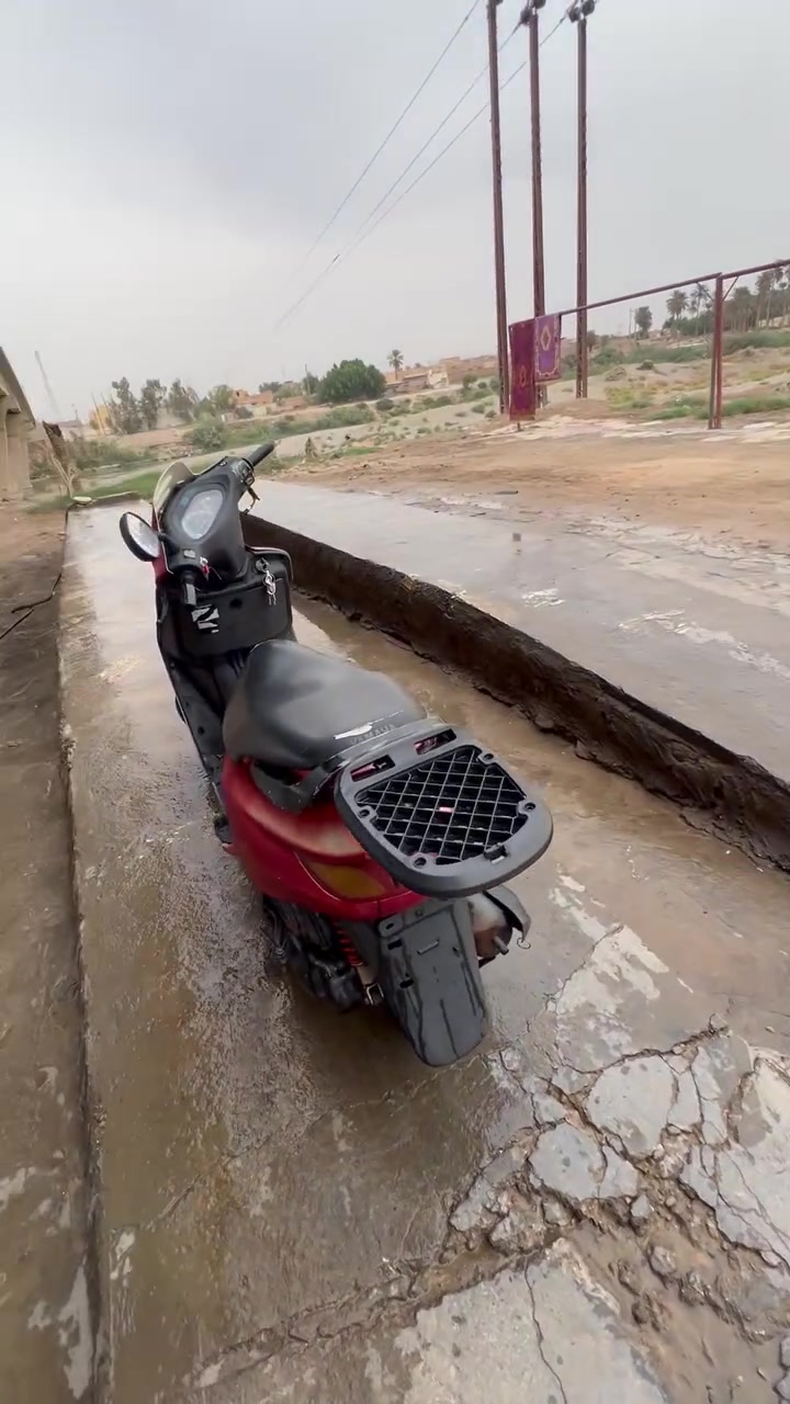 فراشة • جاهزة • مكينة شرط