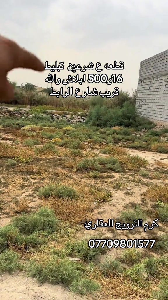 كربلاء • قطعة ع شرعين • قريب شارع الرابط