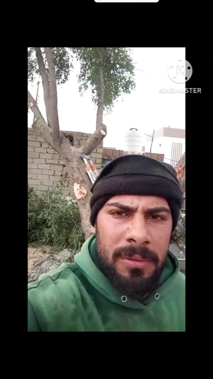 يا الله سلام عليكم مستعدين لتقطيع جميع الأشجار الكابرس شجر الاثل شجر قلم طوز وشجر السدر ونخيل التمر .... الرقم ***********
