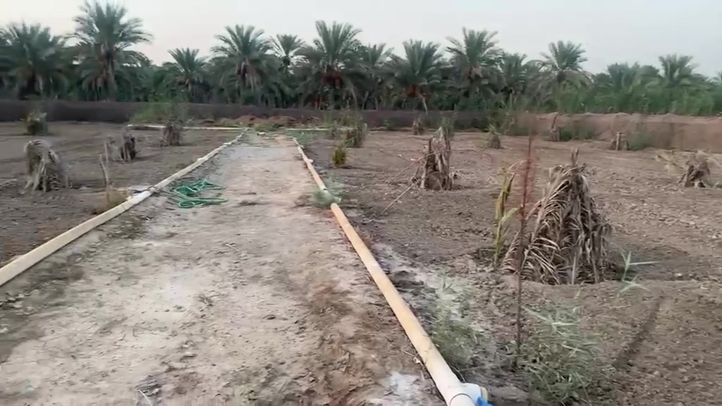 📌يوجد 2000م  للبيع بسعر 65   

📍 ارض  (2000م) للبيع في كربلاء منطقه نهر السلام (طريق طويريج كربلاء)
✅ منطقه سكنيه مدارس قريبه 
✅ يصلح سكن او دار استراحه او مزرعه 

✅ مغروسه نخيل برحي نسيجي و عادي

✅ منضومه سقي كامله للارض من النهر و من البير 
 
✅سند طابو زراعي 25 تحويل مباشر  بأسم المشتري 

✅( تبعد عن  ألامامين عليهم السلام 7 كيلو )

✅✅خدمات كامله تبليط /ماء /كهرباء  /

 ❇ السعر 65مليون مع المجال القليل
---------------------    
للاستفسار ....

***********

***********

