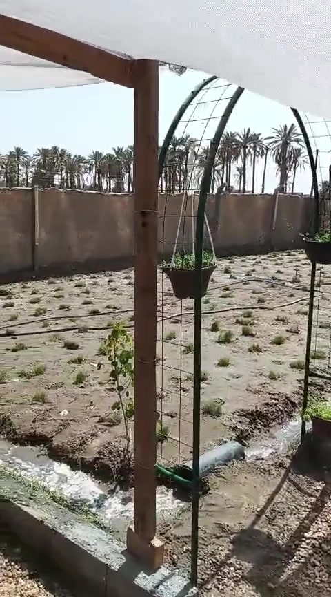 يالله قطعه للبيع بالبكرلي نقابة المعلمين  القطعه عبارع عن شالي مرتب مكان سياحي او متنفس طابو زراعي سند 25 مساحتها 200 متر باسم الشخص نفسه 
القطعه مرتبينها ومسويها كلش مرتبه ومزروعه اشجار وبيها ماء اساله وطاقه شمسيه وبيها صحيات ومكان شوي الاسماك 
مرتبه وحلووه 
السعر 20 وبيها مجال
لليرغب بالشراء او عرض عقاره للبيع او الايجار مراجعة مكتب عقارات حسين المعموري الكائن في البكرلي 
او الاتصال على الرقم *********** او واتساب
