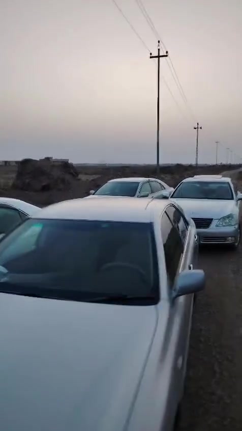 شاهينات • جديدة • ناصريه