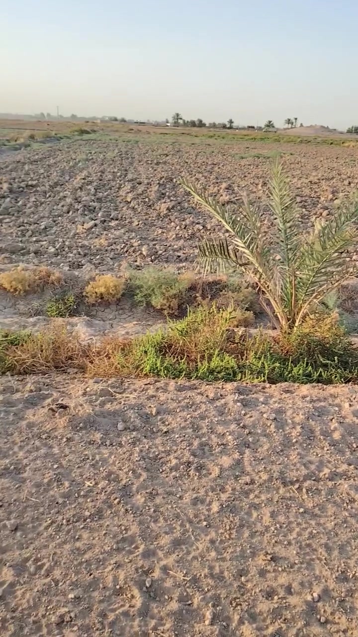 دونمان • الطاش التل الأخضر • ماء وكهرباء