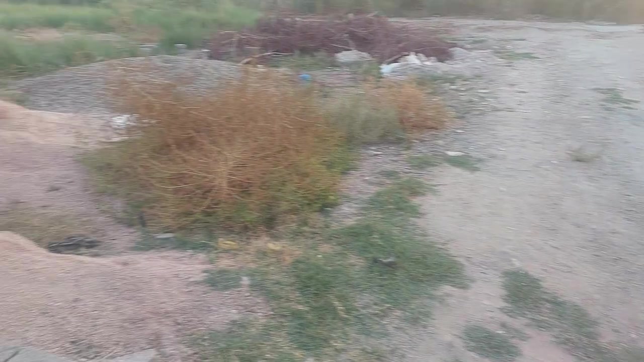 سند ٢٥ • ١٥٠م • هور رجب
