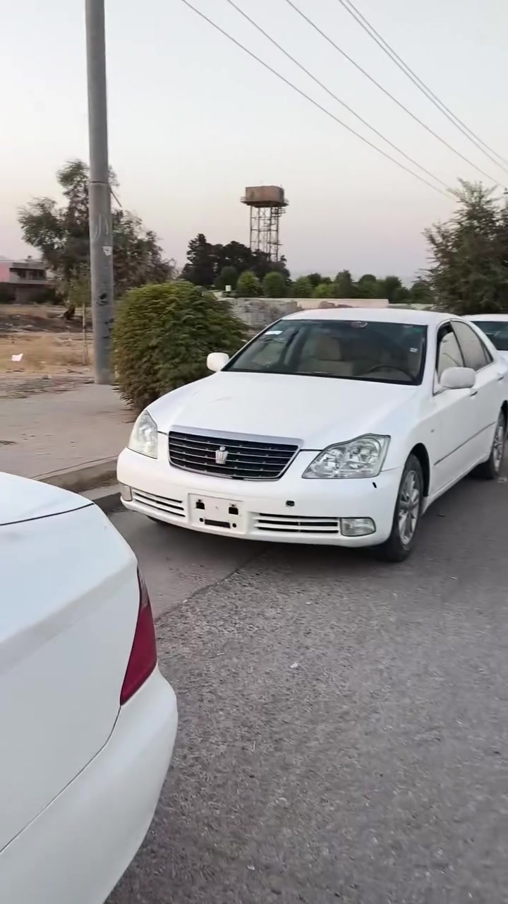 بابەت شاهینە بڕاوە
بچوک بەگەورە 2006سپی ناوزەر 2دانە
بچوک بەبچوک 2005سپی ناوزەرد2دانە 
تازە داخڵن هەموویان بێکێشەو بێ مشکیلە 
کۆدیان نیە 
جوابی کۆمێند نادەین 
شوێن هەڵبجەی تازە 
ژم ***********
ژم***********
