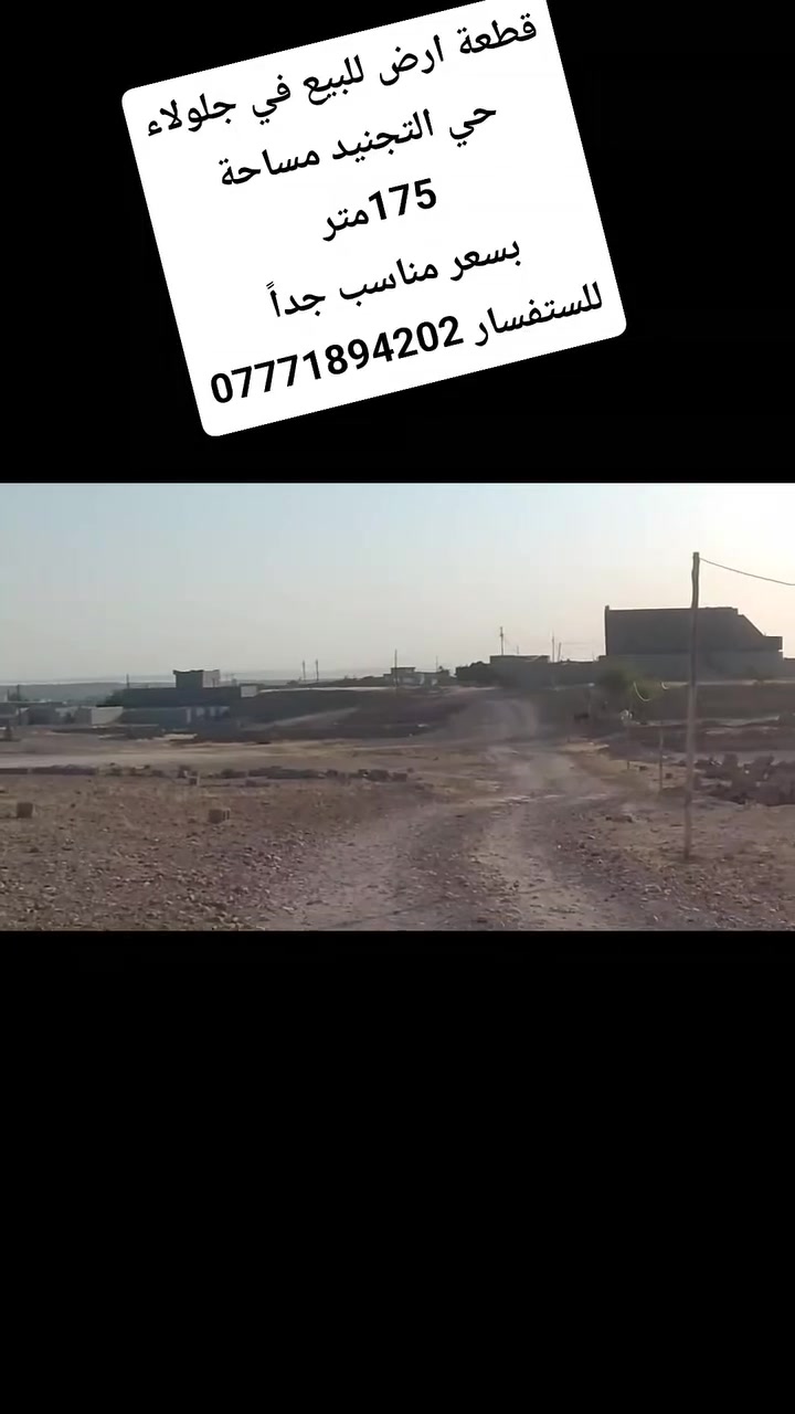 جلولاء • حي التجنيد • ١٧٥م