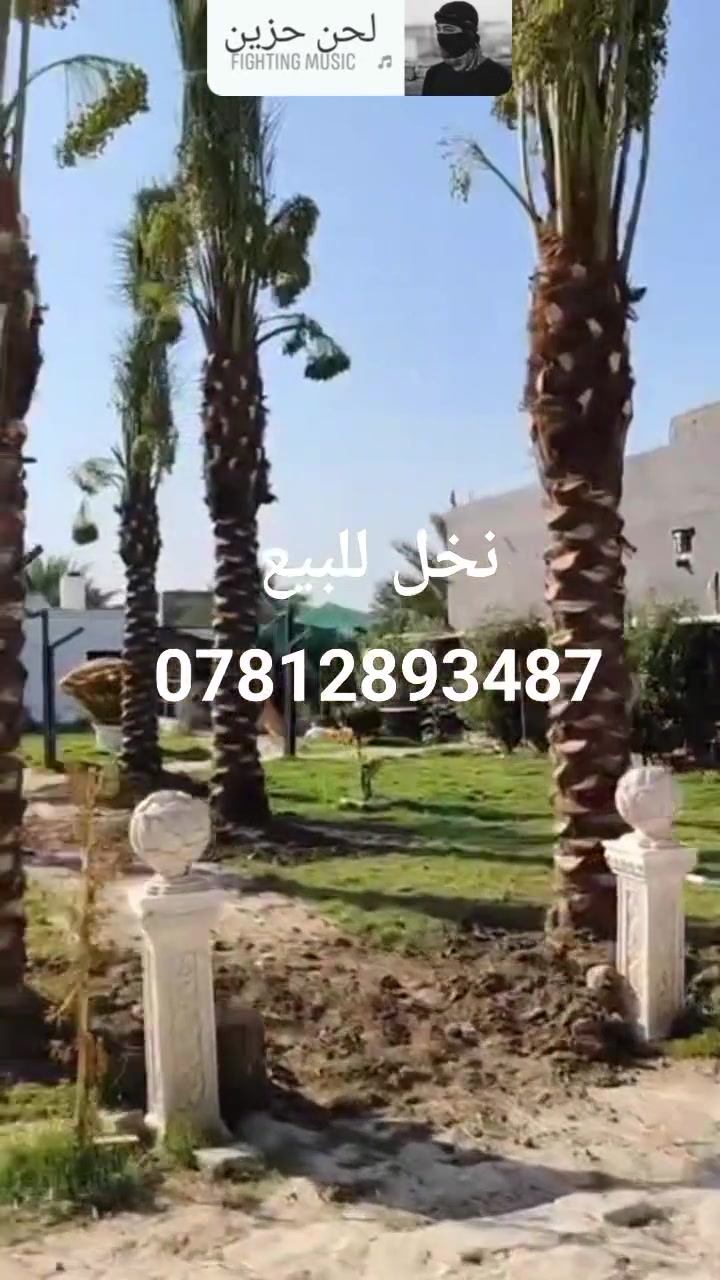 تشجير المشاريع والمزارع واحدائق
***********
