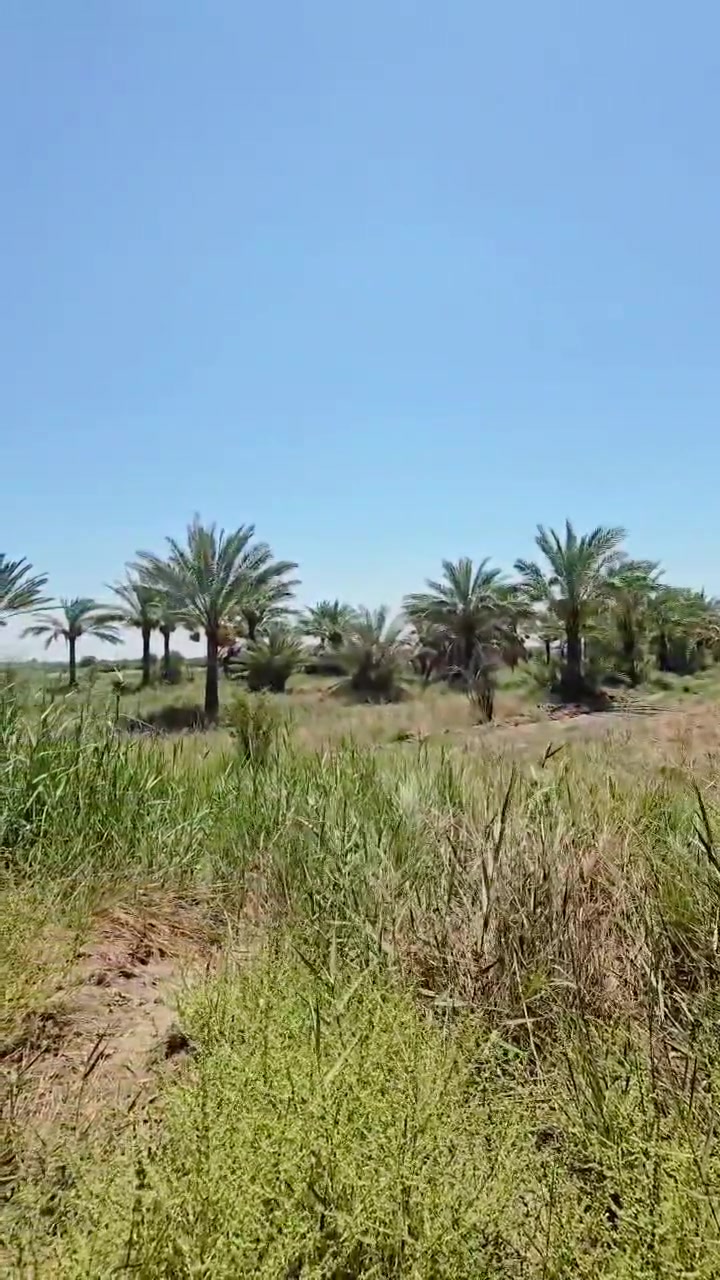 📢 رقم الإعلان: 1030

🏡 ════ ✨ بسم الله الرحمن الرحيم ✨ ════ 🏡

🔥 فرصة مميزة للبيع والاستثمار!

📍 العنوان: بغداد | الراشدية | منطقة البدالي

🌳 المساحة: 8 دوانم

💰 السعر وباقي التفاصيل والمعلومات مذكورة داخل الفيديو 🎥

🏗️ موقع مميز وواعد للاستثمار
✨ فرصة مناسبة للسكن أو الاستثمار

📞 للاستفسار والتواصل:
📱 ***********
📱 ***********

🤝 أبو أيمن للعقار
بيع مباشر بدون تحميل
✨ مصداقية | سرعة | تعامل راقٍ

#أبو_أيمن_للعقار #عقارات_بغداد #عقارات_الراشدية #الراشدية #البدالي #عقارات_للبيع #أراضي_للبيع #استثمار_عقاري #موقع_استثماري #بغداد
