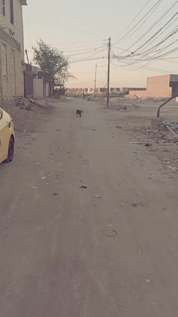 قطعه ارض م. 100 قرب جامعه كربلاء المقدسة فرع المختار سند 25 قرار محكمه كافه الخدمات ماء كهرباء مجاري مدفونه وجاهزه تصلح سكن تصلح حسينيه للزوار تبعد عن الشارع العام 200 م   السعر جدا مناسب 17 وبيه مجال الاستفسار رقم الهاتف ***********