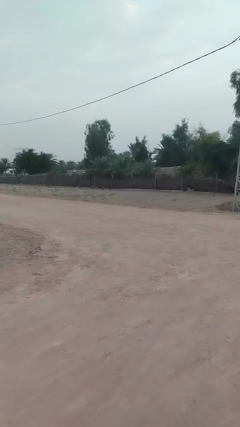 بابل • ٥٠٠م • طابو زراعي