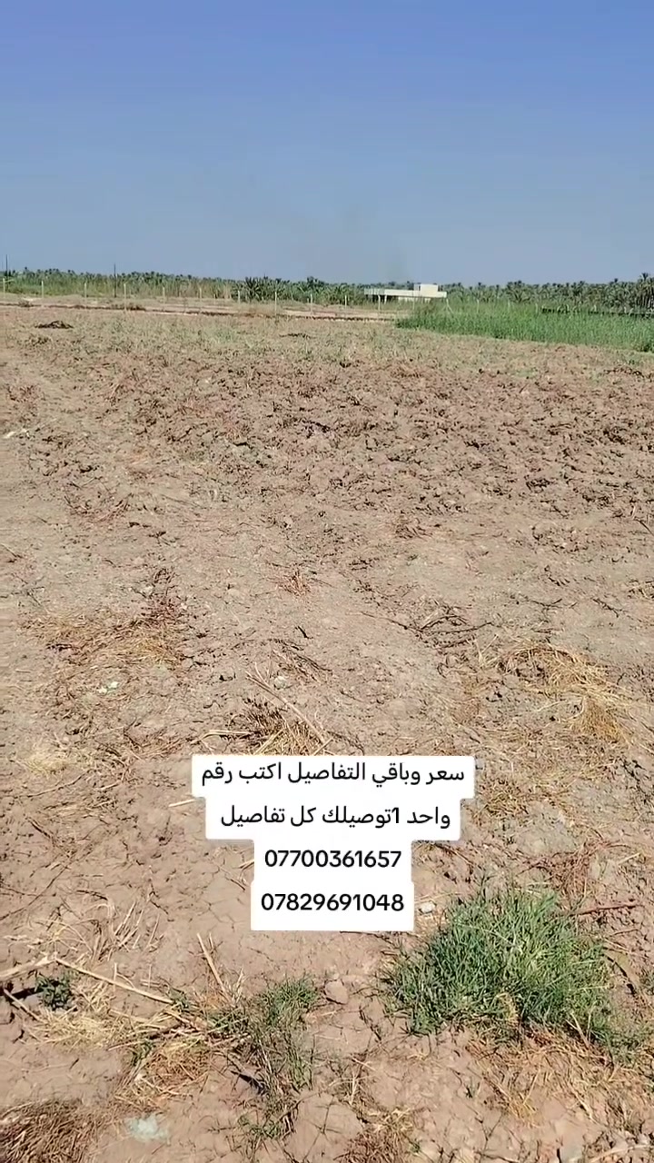 🌴 للبيع دونمين في واسط – قضاء الصويرة 🌴

📍 الموقع: جويميسة الغربية
📏 المساحة: 2 دونم
📍 تبعد عن شط دجلة حوالي 1 كم
🏡 متوفرة كافة شروط السكن
📜 طابو زراعي – سند 25
🔄 تحويل مباشر بطابو الصويرة
🧱 الأرض مسيّجة بالكامل
🌱 أرض خصبة وصالحة للزراعة والاستثمار

✨ موقع مناسب للسكن والاستثمار، وأرض ترهم للزراعة والمشاريع.

🏢 مكتب عقارات ايسر الجحيشي
📍 حي العسكري – شارع حكمت – مقابل بيت حكمت القديم

📞 ***********
📞 ***********

#مكتب_عقارات_ايسر_الجحيشي #الصويرة #جويميسة_الغربية #واسط #دونمين #أراضي_للبيع #استثمار #أراضي_زراعية #عقارات_الصويرة
