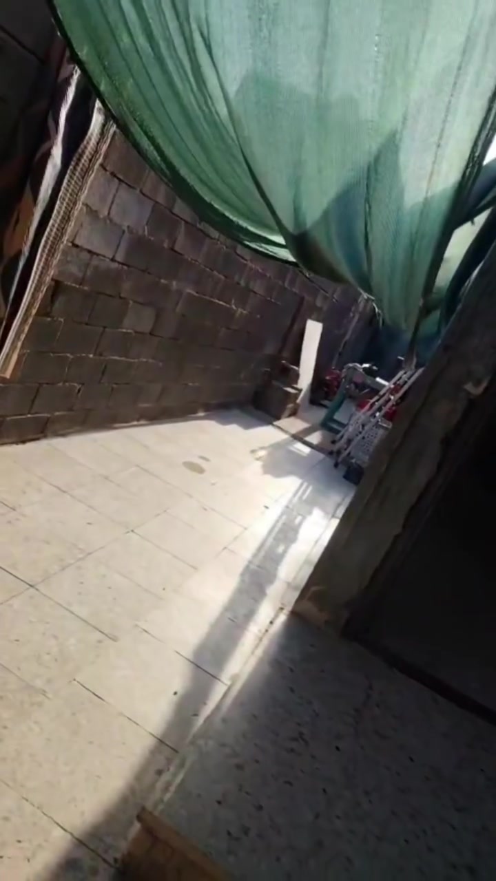 يا الله تعال يمي مخلص من الايجارات هاي فرصه بلاش دار للبيع في مجمع فدك المشتل من جهة النفط مساحة ١٤٠ متر غرفة واحدة وصالة واستقبال وكراج كبير البيت بناء درجه اولى الارضيه رفت السكف صب مسلح كاشي سراميك متوازين على بيعته تصوير واضح امامكم ولدينا عروض اخرى باسعار مناسبه السعر ٢٨ وبي مجال بسيط اذا اقصاد يرهم مقدمه ٢٠ والباقي اقصاد خدمات كامله ما عدا تبليط الستفسار مكتب المصطفى دلال ابو علي ***********يوجد واتساب.
