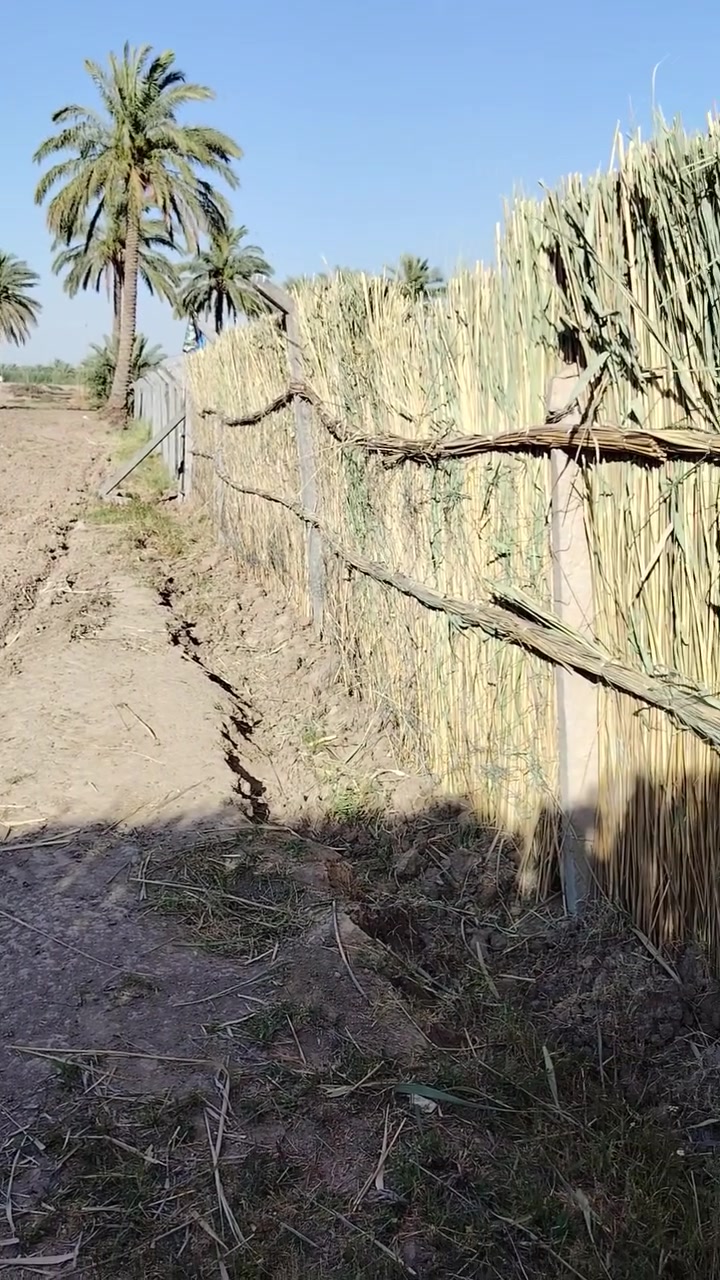 أرض زراعية ٣ دونم سند ٢٥ من أصل خمسه دونم الوجه ٤٠م نزال ١٨٧م مقابل الشارع التبليط زويه الزرع ماء سقي ماء اساله كهرباء مقابل مدرسة برير ترهم بيع اومراوس بيت داخل مدينه العزيزيه للاستفسار التواصل *********** مامتواجد علئ الفيس
