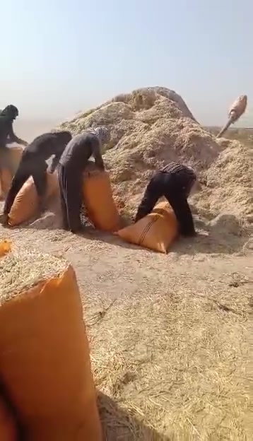 تبن • نضيف • توصيل سريع