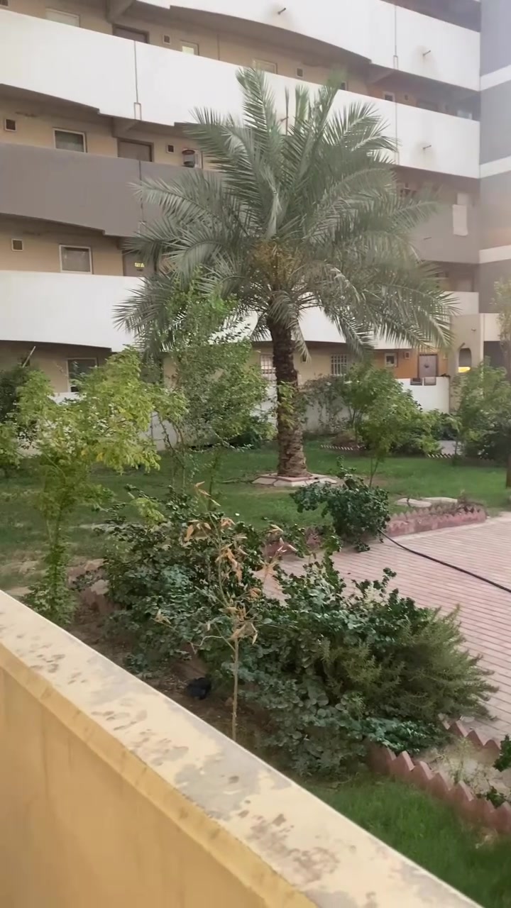 ‏للبيع
‏شقة 100 متر شرقي
‏أرضي
‏واصل 15
‏استبدال كفيل 
B2
‏قصدها الشهري 516 ￼
‏اتصال على رقم *********** ￼￼￼
