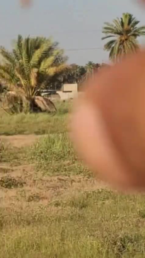 السلام عليكم عندي دونم ونص سند ٢٥ مثل ما واضح مقطع فيديو ديالى ناحيه هبهب للاستفسار ***********
