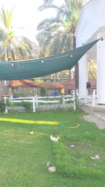 🌴 فرصة مميزة 🌴

مزرعة جاهزة للبيع بمساحة 1 دونم، تضم مجموعة متنوعة من أشجار النخيل والحمضيات، في موقع مميز بقضاء الصويرة.

📍 تبعد 400 متر فقط عن الطريق العام و700 متر عن نهر دجلة.

✅ كاملة الخدمات.
✅ مناسبة للسكن والاستثمار والاستراحة.

📞 للاستفسار والتفاصيل:
***********
