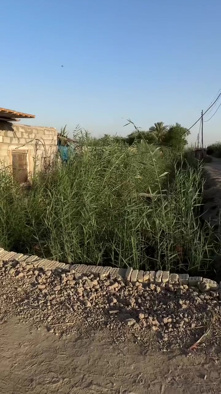 السلام عليكم دونمين ونص للبيع طابو سند 25 زراعي سند الجديد باركود طابو سلمان موقع الارض ناحية الوحدة الكرزية في ضهر السايلو  الواجهة 25 والنزال 250 واقع حال اكثر انزال بيها مي وكهرباء وكافة الخدمات وتبعد من الشارع العام 2 كليو فقط وتبعد عن شقق بسماية 15 دقيقه للارض واي استفسار اتصال*********** السعر 150 مليون فقط الدونمين ونص ورجاءاً المايشتري لا يكسر بحلال العالم سعر بس مجال حك الجية والله شاهد الكاع حلوه وموقعها خير من الله وسندها باركود جديد ***********
