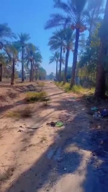 ياالله
للبيع دوانم في بغداد منطقه الراشديه

جنس العقاري سند ملك صرف تتحوال بإسم المشتري يتوفر فيه جميع الخدمات ماء اساله وماء روئي وكهرباء ويوجد فيه نخيل وحمضيات

ترهم ستثمار وه مزرعه متنفس الك وه مزرعه الإيجار سوه انته سعر مناسب جدان 150بيه مجال الاستفسار تصال على رقم ***********
