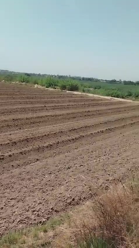نص دونم بالمدائن منطقه سطيح
وره البوابه مباشره 
واجهه ١٧ نزال ٧٤
١٠٠ متر عن دجله 
وجهه سده واصله كهرباء ومي وتبليط 
عقد ٣٥
***********
