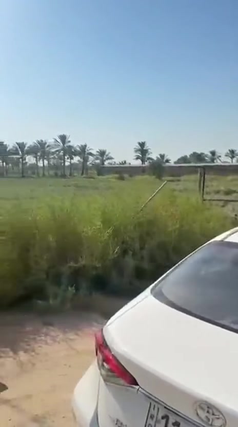 للبيع مزرعه طابو سند مستقل 25 مساحتها سته دونم ونص
موقع المزرعة محاويل قرب بيت أبو الطياره  تبعد عن الشارع العام مايقارب 300 متر 

مواصفات المزرعة طابو زراعي سند 25 مستقل واجهة 90 متر وفيها قاعتين دواجن ومتوفر فيها كل الخدمات ماء وكهرباء وطرق 

تحويلها مباشرة في طابو المحاويل 

الاستفسار والمعاينة والسعر يمكنك التواصل عبر الرابط الخاص والرقم التالي 

***********

مكتب البوظيف بإدارة الشيخ حسين علي الصالح 

https://api.whatsapp.com/send/?phone=201040175849&text&type=phone_number&app_absent=0&wame_ctl=1
